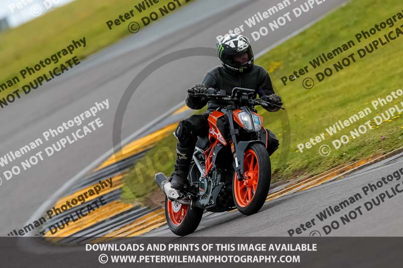 PJ Motorsport 2019;anglesey no limits trackday;anglesey photographs;anglesey trackday photographs;enduro digital images;event digital images;eventdigitalimages;no limits trackdays;peter wileman photography;racing digital images;trac mon;trackday digital images;trackday photos;ty croes